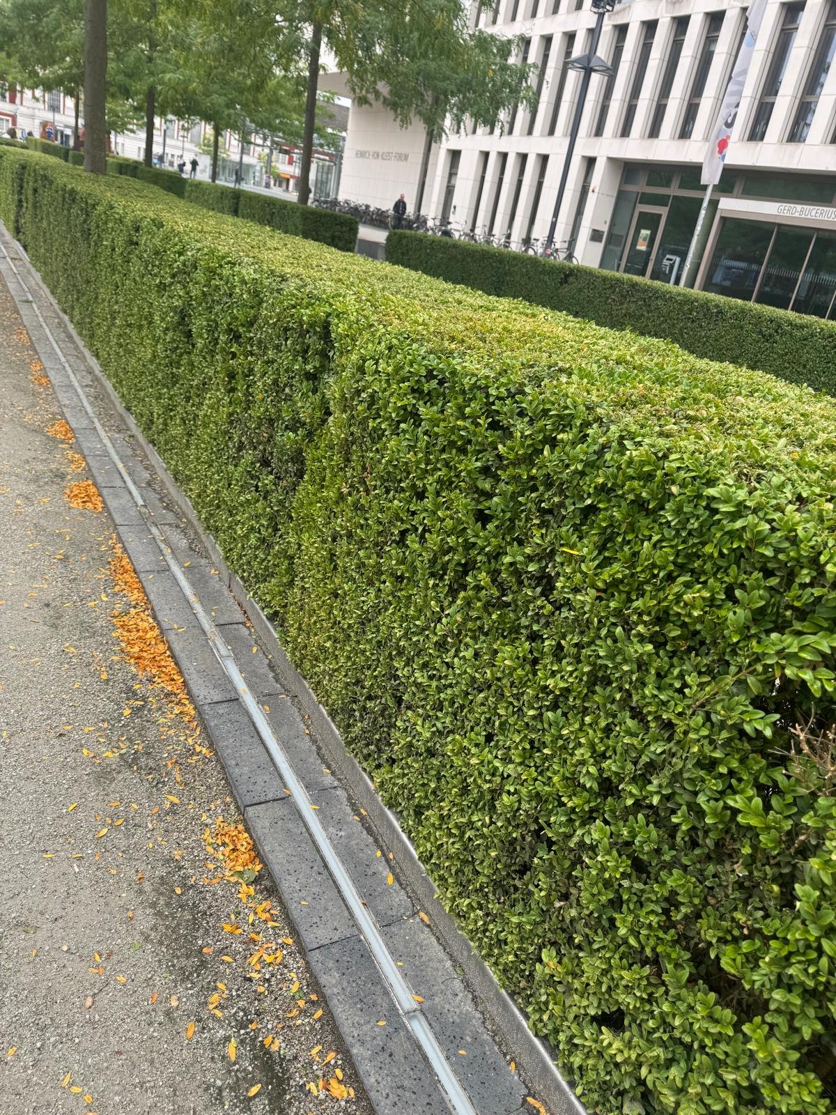 Garten- & Landschaftsbau